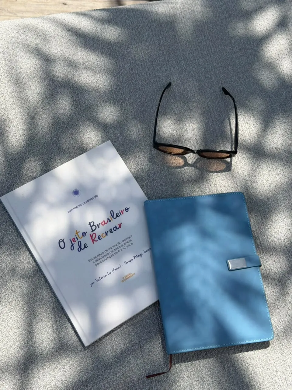 O livro ao lado de um caderno azul e óculos escuros, à sombra
